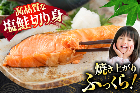 訳あり 無添加 減塩 塩銀鮭 切身 総重量 3kg [足利本店 宮城県 気仙沼市 20565551]