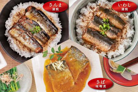 三陸食堂 煮魚 惣菜 セット 6種 9パック [阿部長商店 宮城県 気仙沼市 20565437]