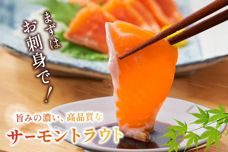 訳あり サーモン トラウト 切り落とし 総重量 1kg 200g×5p [カネダイ 宮城県 気仙沼市 20565178] 魚 魚介類 刺身 小分け 冷凍 鮭 さけ 海鮮 生食用 真空パック さけ サケ 食品 生食 サーモントラウト 手巻き寿司 丼 海鮮丼 カルパッチョ 個包装 お刺身 ◎
