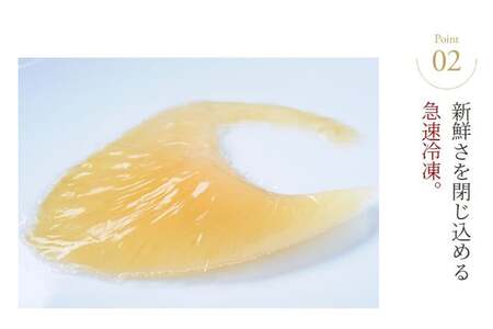 ふかひれ姿煮 紅焼姿煮50g [石渡商店 宮城県 気仙沼市 20565574]