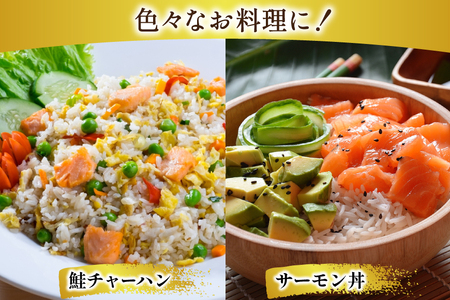 訳あり ノルウェー産 アトランティック サーモン はしっこ柵 尾っぽ柵 900g 柵 おさしみ用 無添加 個包装 [足利本店 宮城県 気仙沼市 20565735]