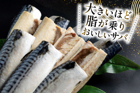訳あり トロ塩サバ フィレ LLサイズ 3kg ★フィレ1枚230g超え！[足利本店 宮城県 気仙沼市 20565620]
