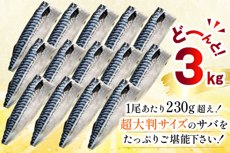 訳あり トロ塩サバ フィレ LLサイズ 3kg ★フィレ1枚230g超え！[足利本店 宮城県 気仙沼市 20565620]