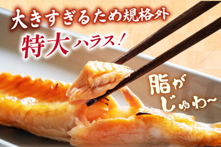 訳あり トロ サーモン ハラス フィーレ 刺身 サーモン 無添加 2kg 個包装 [足利本店 宮城県 気仙沼市 20565619]