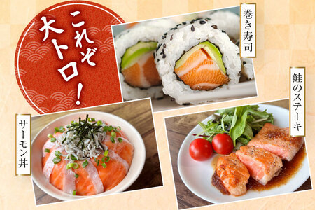 訳あり トロ サーモン ハラス フィーレ 刺身 サーモン 無添加 2kg 個包装 [足利本店 宮城県 気仙沼市 20565619]