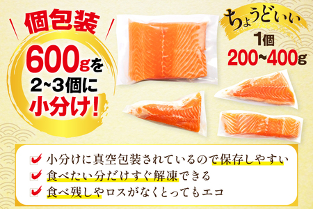 訳あり ノルウェー産 アトランティック サーモン 600g 柵 おさしみ用 無添加 個包装 [足利本店 宮城県 気仙沼市 20565614]