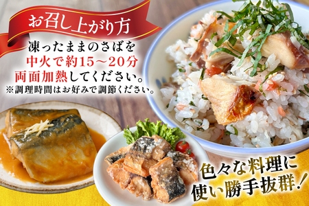 さば 切身 計1.5kg (500g×3p) 無塩 鯖 骨取り [宮城県 気仙沼市 20565640] 訳あり小分け