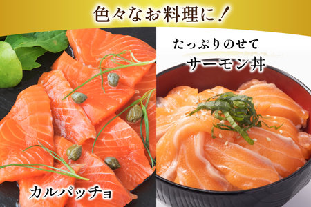 訳あり 無添加 ノルウェー産 アトランティックサーモン 切り落とし おさしみ用 1kg 200g ×5p [足利本店 宮城県 気仙沼市 20565179]