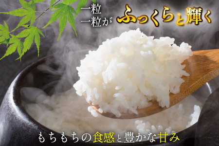新米 令和7年産 宮城県産 ひとめぼれ 5kg [サンフレッシュ小泉農園 気仙沼市 20565646]