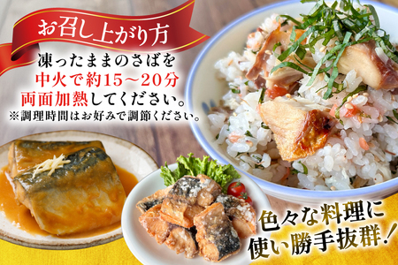 訳あり 骨取り トロ さば 切身 無添加 計3kg (500g×6p) 小分け 無塩[足利本店 宮城県 気仙沼市 20565813]