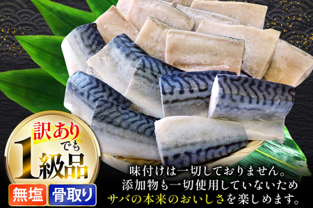 訳あり 骨取り トロ さば 切身 無添加 計3kg (500g×6p) 小分け 無塩[足利本店 宮城県 気仙沼市 20565813]