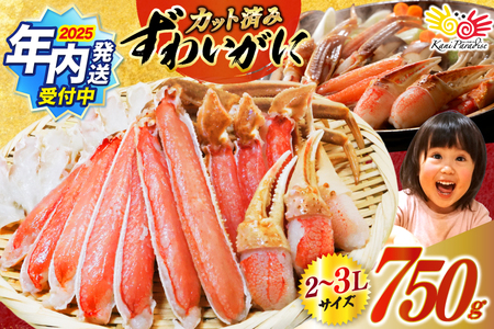 【年内配送】ずわいがに むき身セット 総重量750g かに 蟹 カニ [宮城県 気仙沼市 20565652] ◎