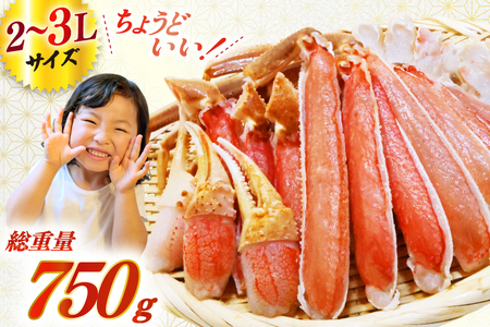 【年内配送】ずわいがに むき身セット 総重量750g かに 蟹 カニ [宮城県 気仙沼市 20565652] ◎