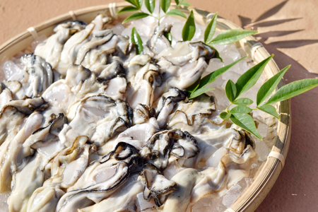 むき身 地秀かき 生食用 500g×1袋 [かみたいら 宮城県 気仙沼市 20565947]