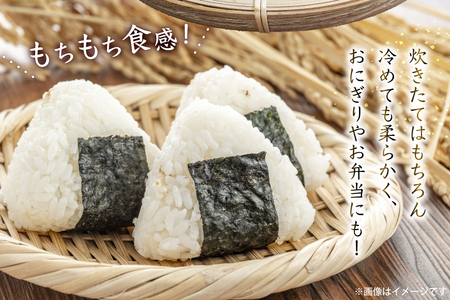 だて正夢 2kg [気仙沼市物産振興協会 宮城県 気仙沼市 20565849]