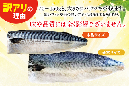 訳あり 減塩 無添加 トロ塩サバ フィレ Sサイズ 総重量 3kg [足利本店 宮城県 気仙沼市 20565959]