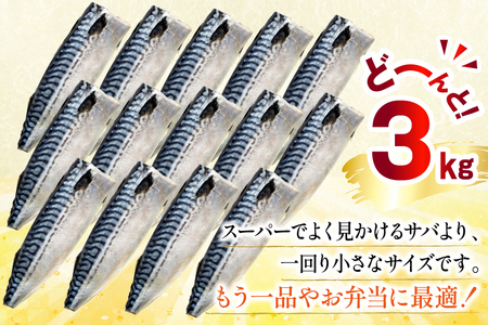 訳あり 減塩 無添加 トロ塩サバ フィレ Sサイズ 総重量 3kg [足利本店 宮城県 気仙沼市 20565959]