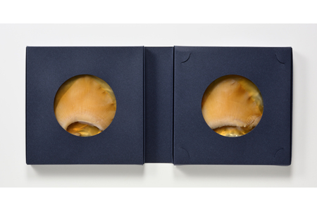 【TVで紹介】ふかひれステーキ3箱 [石渡商店 宮城県 気仙沼市 20563459]