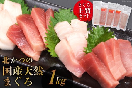 北かつのマグロ上質セット (マグロ中トロ 200g マグロ上質赤身 200g×2 メカジキ 200g びんちょう 200g）合計1kg [北かつ商事 宮城県 気仙沼市 20563511] 魚 鮪 マグロ 中トロ まぐろ 赤身 刺身 魚介 メカジキ 冷凍 レビューキャンペーン 感想