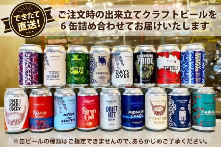 6回 定期便 BTB クラフトビール 6缶 セット【総計36缶】 [BLACK TIDE BREWING 宮城県 気仙沼市 20565556]