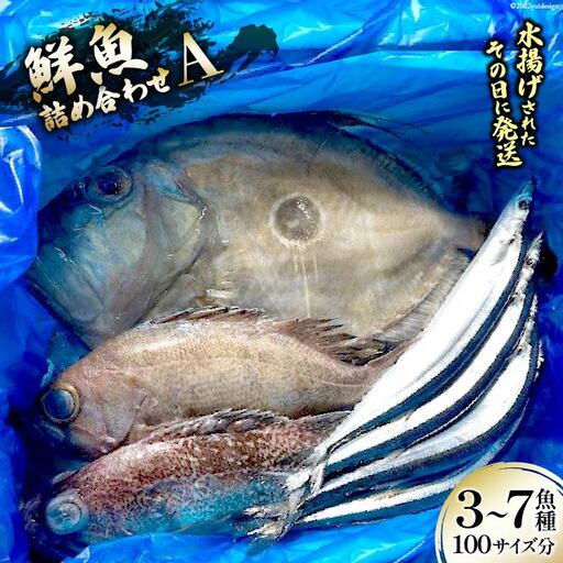 鮮魚 詰め合わせ A 3～7魚種 100サイズ分 [さんりくみらい 宮城県 気仙沼市 20563531] 9,375円