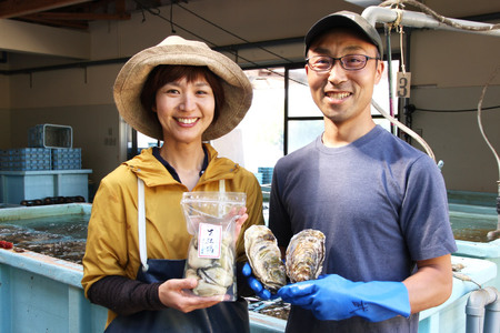 【期間限定発送】ヤマヨ水産の牡蠣 生食用 むき身 500g 《2月前半～出荷》 [気仙沼市物産振興協会 宮城県 気仙沼市 20564220] 魚介類 海鮮 牡蠣 冬 かき 冬牡蠣 冬かき 期間限定 冷蔵 生食 生牡蠣