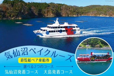 気仙沼ベイクルーズ 遊覧船ペア乗船券 [大島汽船 宮城県 気仙沼市 20563772]