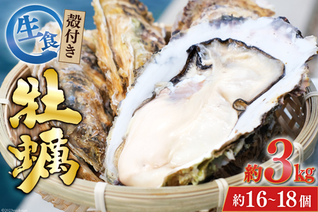 TVで紹介！】 牡蠣 3～4年モノ 生食 殻付き牡蠣 約3kg(約16-18個入