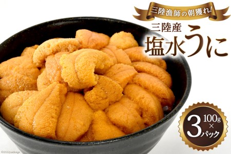 【期間限定発送】三陸産塩水うに 100g×3パック [村東商店 宮城県 気仙沼市 20564260] 海鮮 三陸 うに ウニ 塩水ウニ 雲丹 三陸産 冷蔵 期間限定 数量限定