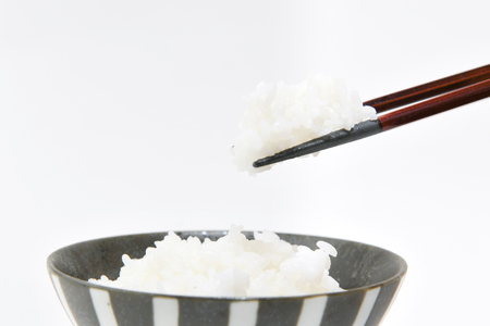 米 いのちの壱 10kg [ティエスサービス 宮城県 気仙沼市 20562173] 米 お米 精米 白米 ごはん ご飯