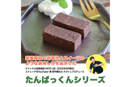 3回 定期便 KGGプロテインバー ちょこ味 28本入 ×3か月 合計84本 [KESENNUMA GOOD GOODS 宮城県 気仙沼市 20564488]