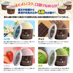 【フロム蔵王】アイス Hybrid スーパーマルチアイスBOX24 4種24個セット アイスクリーム チョコ 抹茶 いちご バニラ【01051】