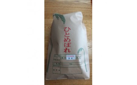 令和4年産 お米 ひとめぼれ 玄米 10Kg【12003】