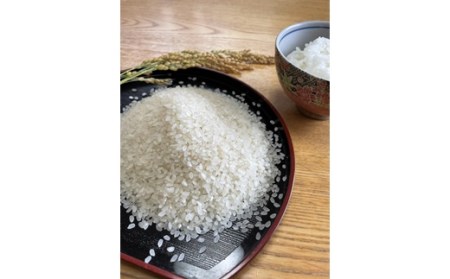 令和4年産 お米 ササニシキ 精米 9Kg【12009】