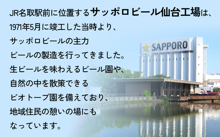 ニッポン の シン ・ レモンサワー 350ml×24缶(1ケース)×定期便3回 (合計72缶) サッポロ 缶 チューハイ 酎ハイ