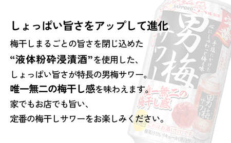 サッポロ 男梅サワー 350ml缶×24缶(1ケース) サッポロ 缶 チューハイ 酎ハイ サワー