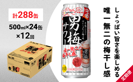 サッポロ 男梅 サワー 500ml×24缶(1ケース)×定期便12回(合計288缶)  缶 チューハイ 酎ハイ サワー