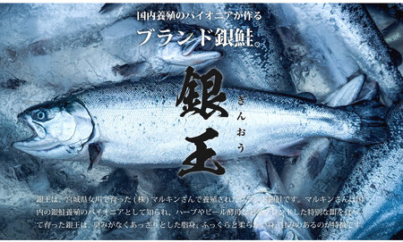 センシン食品 ※無塩※ 銀鮭切り身 30g×20枚　チャックポリ入り