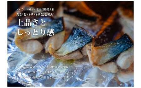 魚のおんちゃま 三陸常磐産 サバ 骨取切り身 30g×20枚入