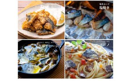 魚のおんちゃま 三陸常磐産 サバ 骨取切り身 30g×20枚入