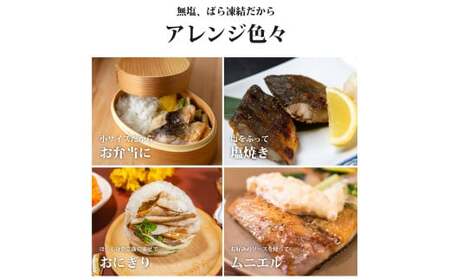 魚のおんちゃま 国産 ホッケ 骨取切り身 30g×20枚入