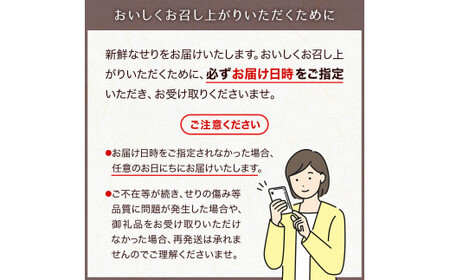 【期間限定】【お届け日時指定必須】宮城ブランド 野田鴨 で食す 選べる内容量 仙台せり鍋 セット(漁亭 浜や) 鍋 せり鍋 鍋セット せり鍋鴨 2~3名盛り×2箱セット