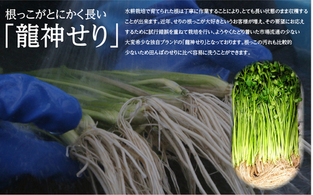 【期間限定】根っこがながーーーい仙台龍神せり(300ｇ)2～3人前