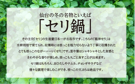 【期間限定】根っこがながーーーい　仙台龍神せり(700ｇ)6～7人前