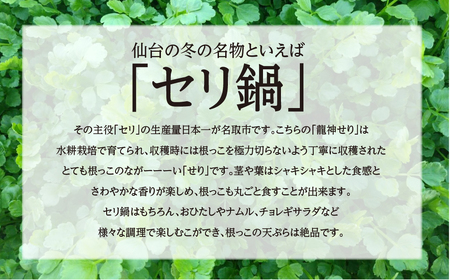 【期間限定】根が魅力の仙台龍神せり鍋出汁セット（セリ鍋用出汁・スープ付）(300ｇ)2～3人前