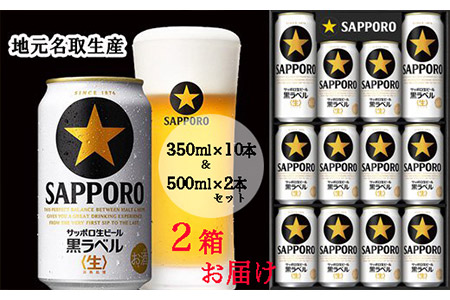 930514+02 【一括お届け】地元名取生産サッポロ生ビール黒ラベル 350ml×10本+500ml×2本セット を2ケース同時お届け