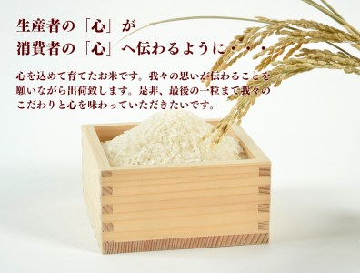 B80919 《令和6年産 新米》 こだわりのお米　 ササニシキ2ｋｇ＆鮮度そのまま真空パックつや姫・ひとめぼれ各2合