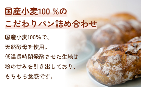 【12ヵ月定期便】名取 閖上 の ぱんやこてつ 手作り 国産小麦のハード系パンセット