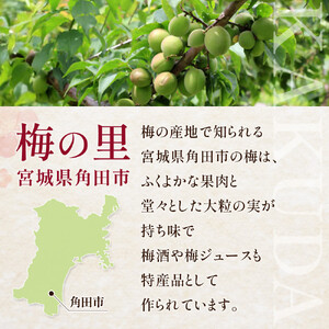 【宮城県角田市】岸浪園の梅酒　青梅　720ml×1本 梅酒