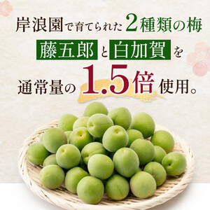 【宮城県角田市】岸浪園の梅酒　青梅　720ml×1本 梅酒